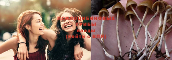 меф Балахна